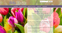Desktop Screenshot of bellabloomsky.com